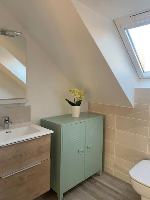 Appartement Dans Une Grange Renovee Strasburgo Esterno foto